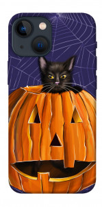 Чехол Cat and pumpkin для iPhone 13 mini