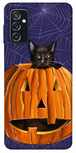 Чохол Cat and pumpkin для Galaxy M52