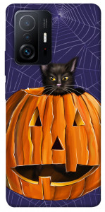 Чехол Cat and pumpkin для Xiaomi 11T Pro