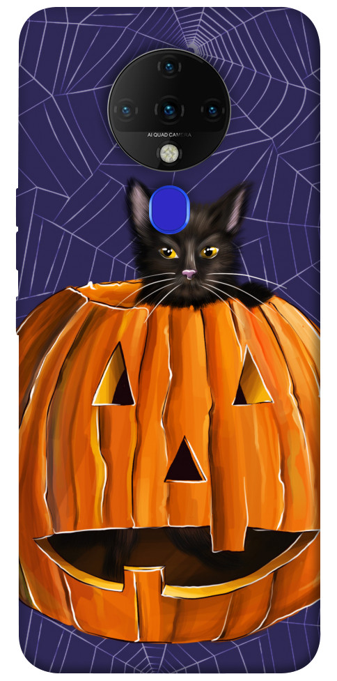 

Чохол Cat and pumpkin для TECNO Spark 6 1424225