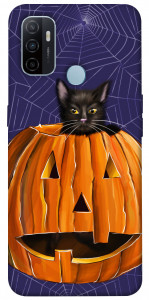 Чехол Cat and pumpkin для Oppo A53