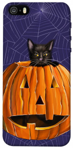 Чехол Cat and pumpkin для iPhone 5S
