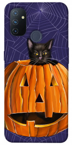 Чехол Cat and pumpkin для OnePlus Nord N100