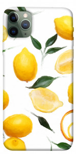 Чехол Lemons для iPhone 11 Pro Max