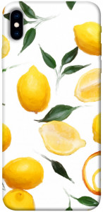 Чохол Lemons для iPhone XS Max