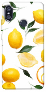 Чохол Lemons для Xiaomi Redmi Note 5 Pro