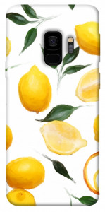 Чохол Lemons для Galaxy S9