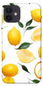 Чехол Lemons для iPhone 12