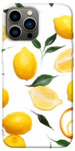 Чохол Lemons для iPhone 12 Pro Max