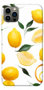 Чехол Lemons для iPhone 12 Pro