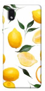 Чохол Lemons для Samsung Galaxy A01 Core