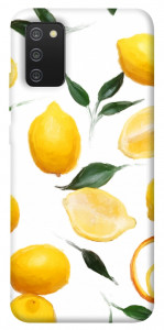 Чохол Lemons для Galaxy A02s