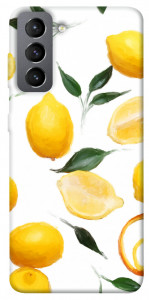 Чохол Lemons для Galaxy S21 FE