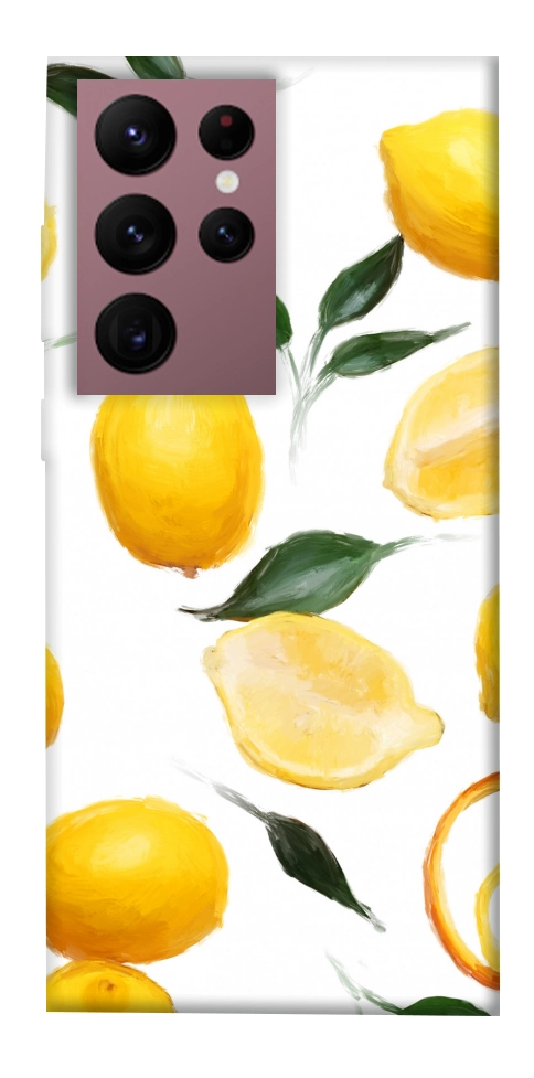 Чохол Lemons для Galaxy S22 Ultra