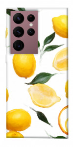 Чехол Lemons для Galaxy S22 Ultra