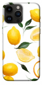 Чехол Lemons для iPhone 14 Pro Max
