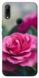 Чехол Роза в саду для Huawei P Smart Z