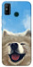 Чохол Samoyed husky для TECNO Spark 6 Go