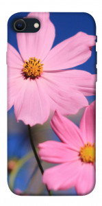 Чехол Розовая ромашка для iPhone SE (2022)