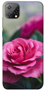 Чехол Роза в саду для Blackview A55