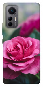 Чехол Роза в саду для Xiaomi 12 Lite