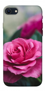 Чехол Роза в саду для iPhone SE (2022)