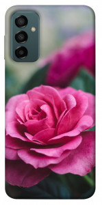Чехол Роза в саду для Galaxy M13 4G