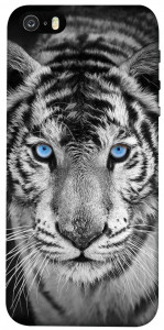 Чехол Бенгальский тигр для iPhone 5