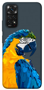 Чехол Попугай для Xiaomi Redmi Note 11S