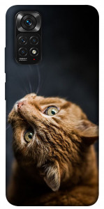 Чохол Рудий кіт для Xiaomi Redmi Note 11S