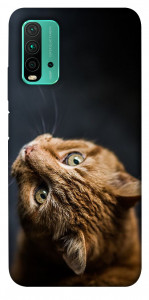 Чохол Рудий кіт для Xiaomi Redmi 9T