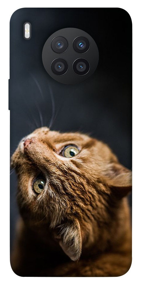 

Чохол Рудий кіт для Huawei nova 8i 1457463