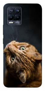 Чехол Рыжий кот для Realme 8
