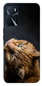 Чехол Рыжий кот для Oppo A16 4G