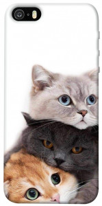Чехол Три кота для iPhone 5