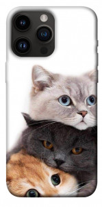 Чехол Три кота для iPhone 14 Pro Max