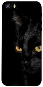 Чохол Чорний кіт для iPhone 5