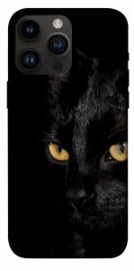 Чехол Черный кот для iPhone 14 Pro Max