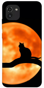 Чехол Кот на фоне луны для Galaxy A03