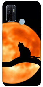 Чехол Кот на фоне луны для Oppo A53