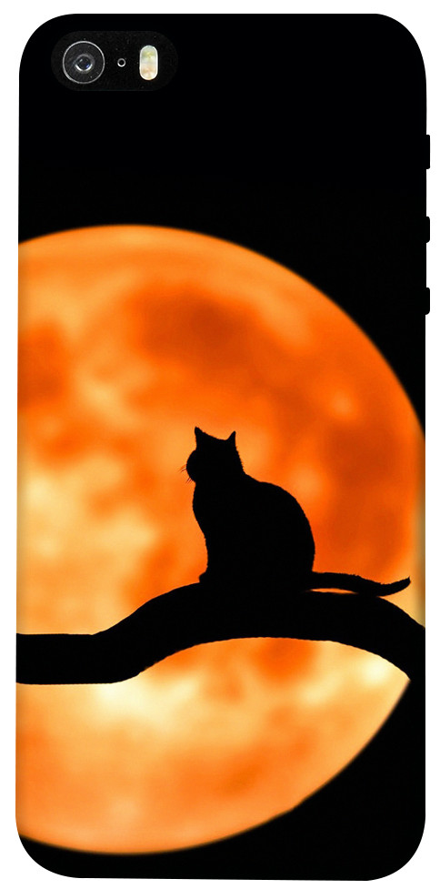 Чехол Кот на фоне луны для iPhone 5