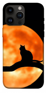 Чехол Кот на фоне луны для iPhone 14 Pro Max