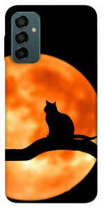 Чехол Кот на фоне луны для Galaxy M23 5G