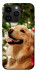 Чохол New year dog для iPhone 14 Pro