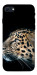 Чехол Leopard для iPhone SE (2022)