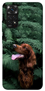 Чехол Собака в зелени для Xiaomi Redmi Note 11S
