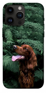 Чехол Собака в зелени для iPhone 14 Pro Max