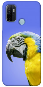 Чехол Попугай ара для Oppo A53