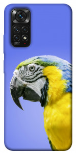 Чехол Попугай ара для Xiaomi Redmi Note 11S