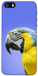 Чохол Папуга ара для iPhone 5